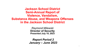 cover of violence and vandalism report
