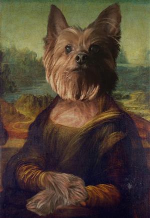 Charlisa Charlisa