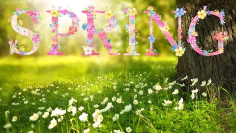  Spring