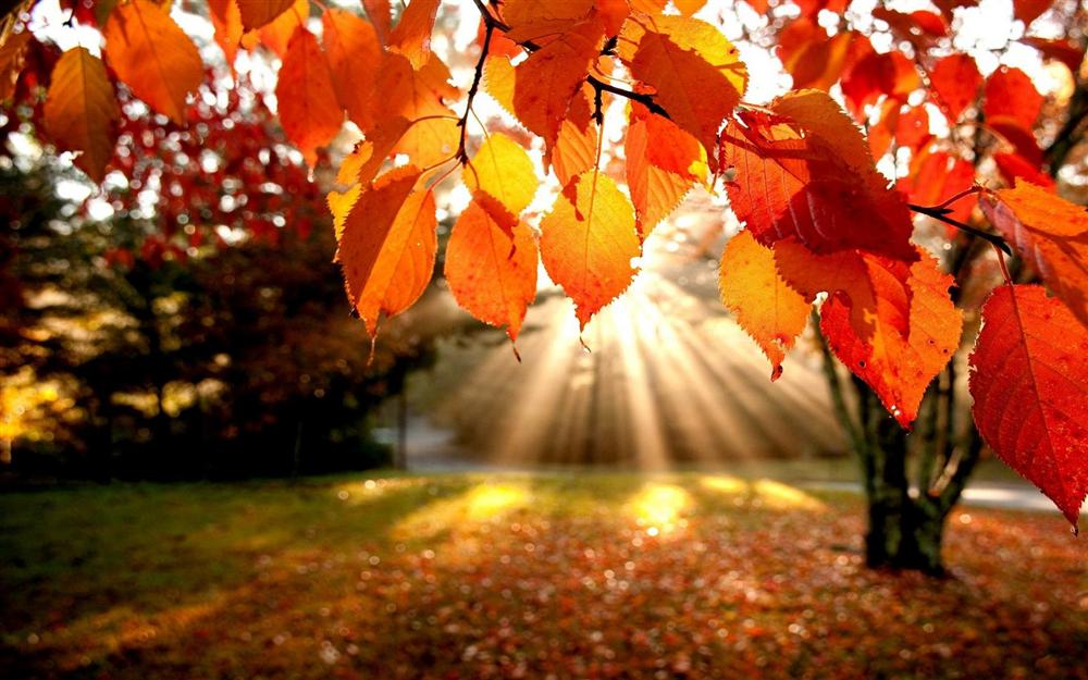 november