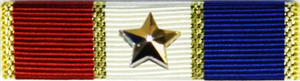 Silver Star Community Service with Excellence Award
