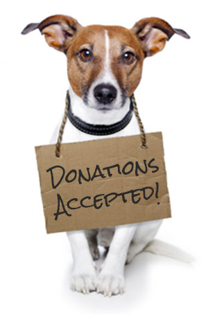  dog with a sign