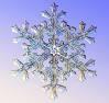  snowflake
