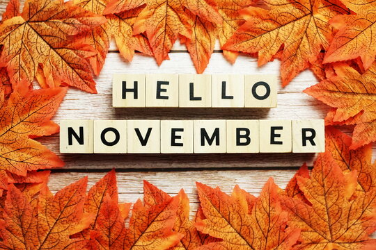  Leaves with the words "Hello November"