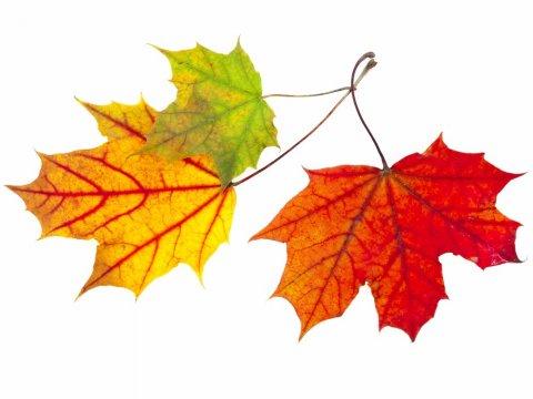  October