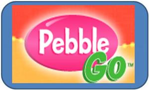 pebble Go 