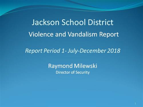 Cover of Violence and Vandalism Report 