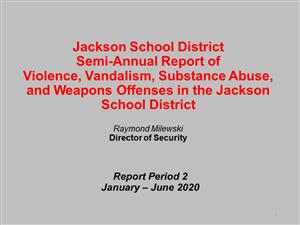 cover of violence and vandalism reporet 