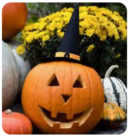  pumpkin with witches hat