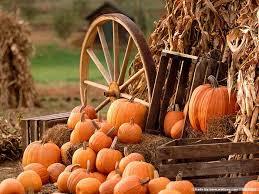  Happy Thanksgiving!