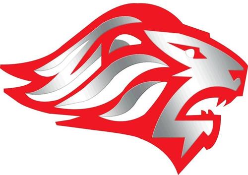 Jackson Liberty Boys Tennis 