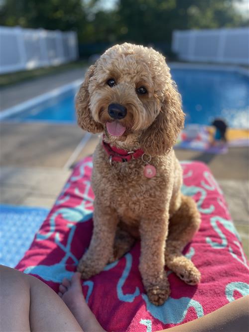 Gabby