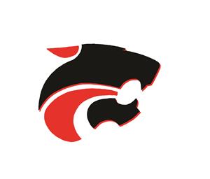 Jaguars  