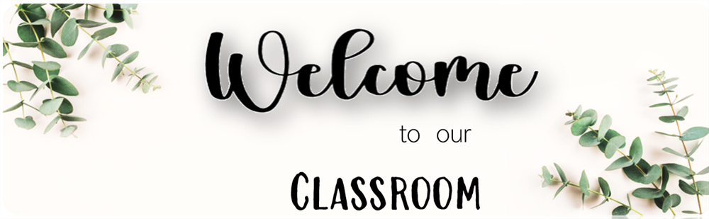 Welcome to our Classroom!