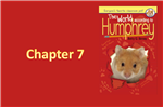 Chapter 7