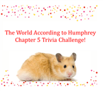 Chp5Trivia