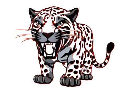 JTHS LOGO