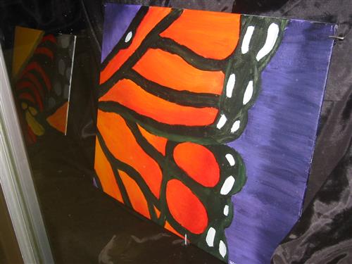 butterfly butterfly