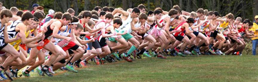 Image result for xc start