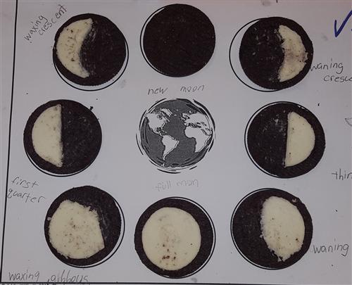 oreo lab oreo lab