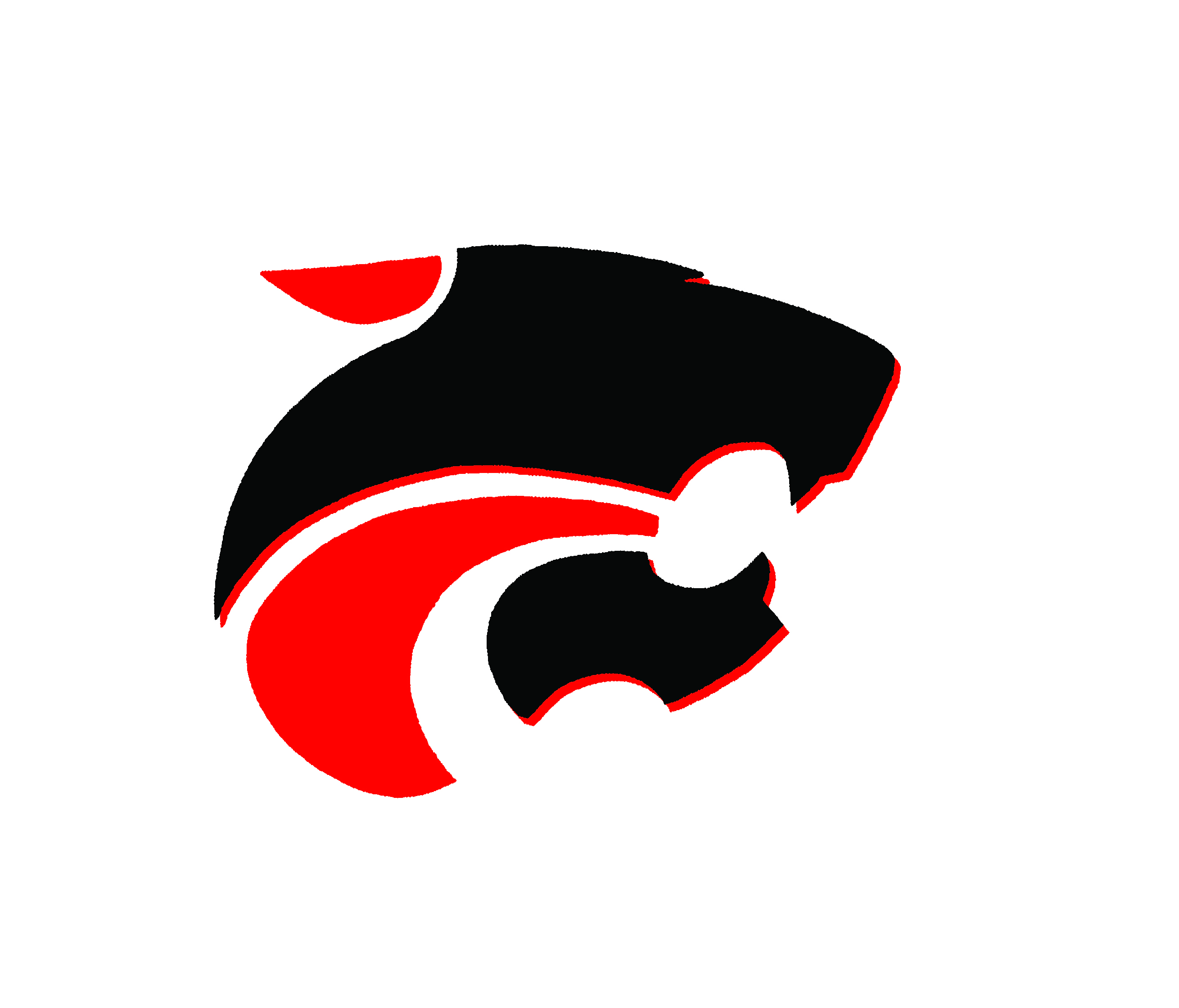 Jaguar Head Logo for Jackson Memorial High School 
